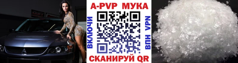 блэк спрут зеркало  Сураж  Alpha PVP СК 